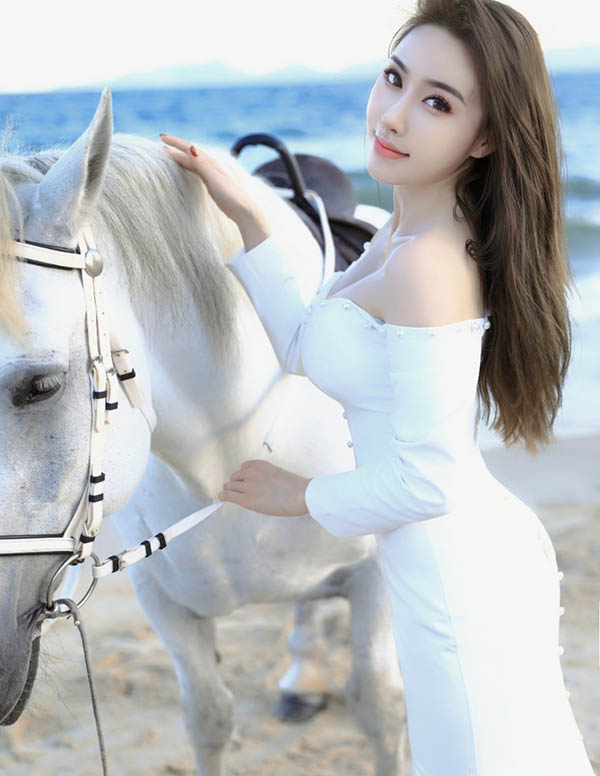 波士顿模特预约